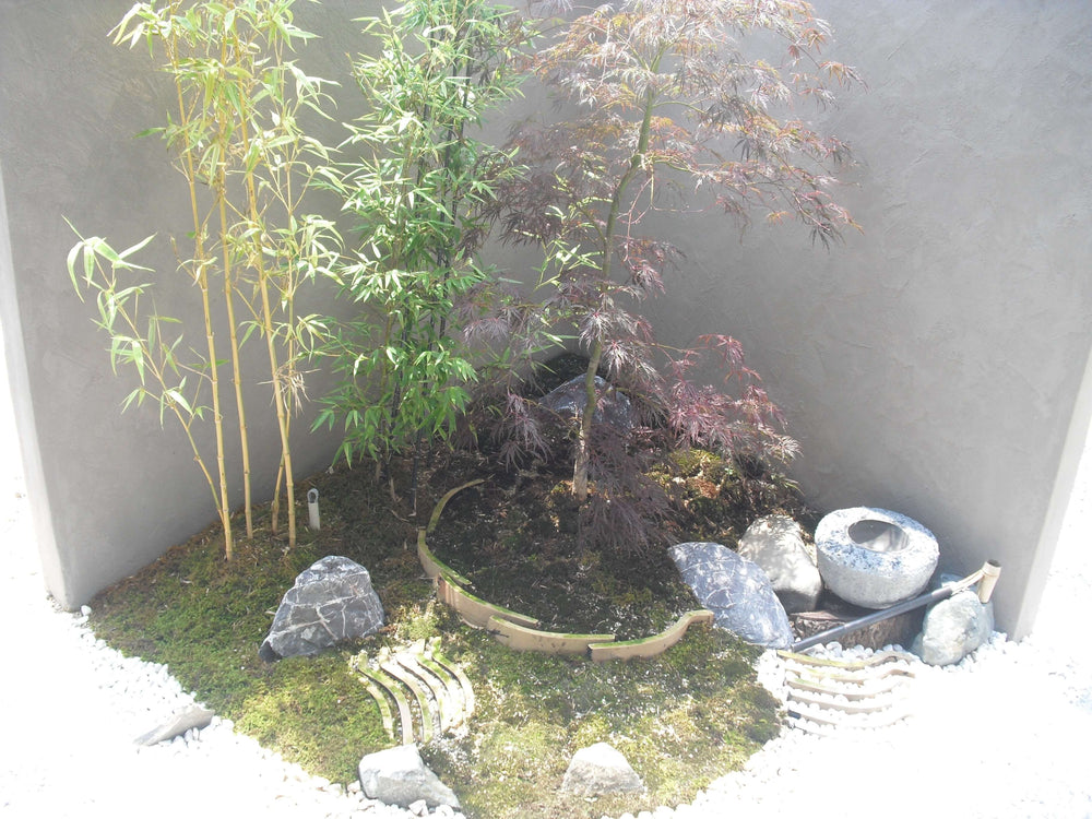 Yo様邸 モダンアプローチ・植栽 - 画像7